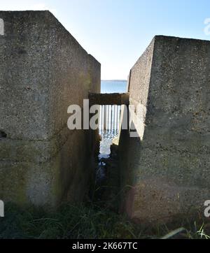 Hamble Common Beach Anti-Aircraft Gun Betonplattform Stürzte Ein Stockfoto