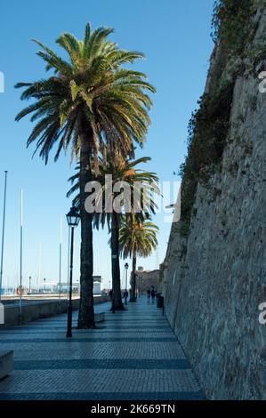 Festung Nossa Senhora da Luz mit Blick auf die Atlantikküste; Stockfoto