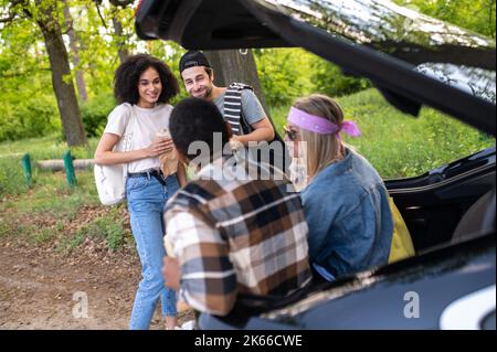 Junge Leute im Park in der Nähe des Autos reden und fühlen sich aufgeregt Stockfoto
