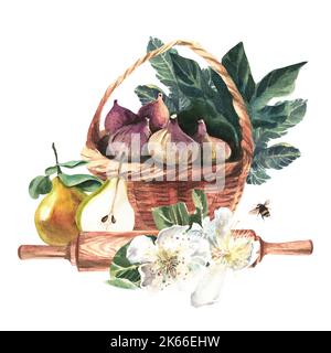 Zusammensetzung aus Beeren und Früchten mit einem Weidenkorb auf weißem Hintergrund. Aquarell handbemalte Illustration. Stockfoto