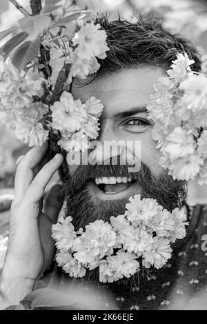 Hautpflege- und Haarpflegekonzept. Bärtige männliche Gesichter, die aus der Blüte der Sakura spähen. Mann mit Bart und Schnurrbart auf glücklichen Gesicht in der Nähe von zarten rosa Blüten Stockfoto