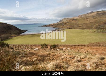 Halbinsel von Ardamurchan, Schottland. Malerischer Blick auf die Küste von Ardamurchan bei Camas nan Geall (Bucht der Fremden). Stockfoto