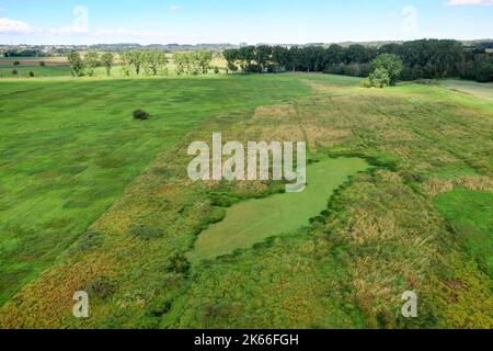 Duvenseer Moor nach einem trockenen Sommer im Frühherbst 2022, Deutschland, Schleswig-Holstein, Herzogtum-Lauenburg, Duvensee Stockfoto