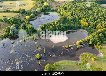 Hellmoor, Feuchtgebiet, bei Niedrigwasser im September 2022, Laemmerhof, Deutschland, Schleswig-Holstein, Herzogtum Lauenburg, Panten Stockfoto