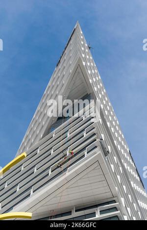 Seilzugangsarbeiter installieren eine große Glasscheibe hoch oben auf dem neuen AMP Quay Quarter Tower in der 50 Bridge Street, Sydney, Australien Stockfoto