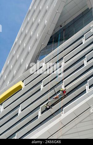 Seilzugangsarbeiter installieren eine große Glasscheibe hoch oben auf dem neuen AMP Quay Quarter Tower in der 50 Bridge Street, Sydney, Australien Stockfoto