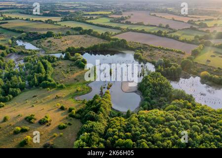 Hellmoor, Feuchtgebiet, bei Niedrigwasser im September 2022, Laemmerhof, Deutschland, Schleswig-Holstein, Herzogtum Lauenburg, Panten Stockfoto