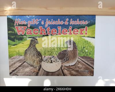 Wachtel (Coturnix Coturnix), Informationsschild zum Verkauf von Wachteleiern, Deutschland Stockfoto