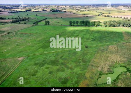 Duvenseer Moor nach einem trockenen Sommer im Frühherbst 2022, Deutschland, Schleswig-Holstein, Herzogtum-Lauenburg, Duvensee Stockfoto