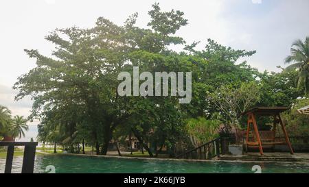 Swimmingpool, wunderschöne Bäume und wolkige Himmel Stockfoto