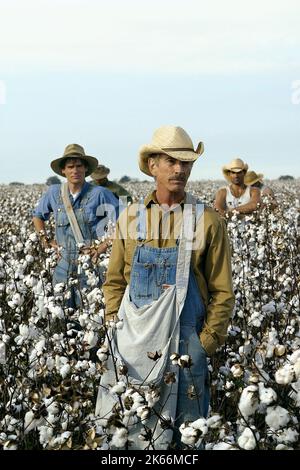 ROBERT SEAN LEONARD, Scott Glenn, eine gemalte Haus, 2003 Stockfoto