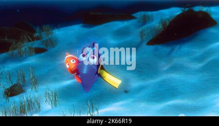 MARLIN, DORY, Findet Nemo, 2003 Stockfoto