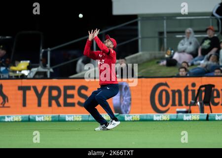 Canberra, Australien. 12. Oktober 2022. Alex Hales aus England während des zweiten Spiels der T20 International Series zwischen Australien und England im Manuka Oval am 12. Oktober 2022 in Canberra, Australien. BILD NUR FÜR REDAKTIONELLE VERWENDUNG - AUSSCHLIESSLICH KEINE KOMMERZIELLE NUTZUNG Quelle: Izhar Ahmed Khan/Alamy Live News/Alamy Live News Stockfoto