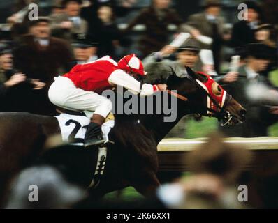 TOBEY MAGUIRE, SEABISCUIT, 2003 Stockfoto