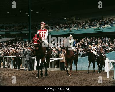 TOBEY MAGUIRE, SEABISCUIT, 2003 Stockfoto