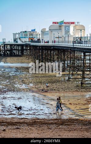 Ein Paar läuft bei Ebbe mit seinem Hund am Strand neben Worthing Pier, West Sussex, Großbritannien Stockfoto