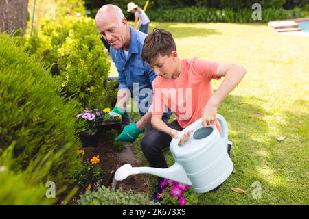 Kaukasischer Großvater und Enkel verbringen Zeit zusammen im Garten, Pflanzen Stockfoto