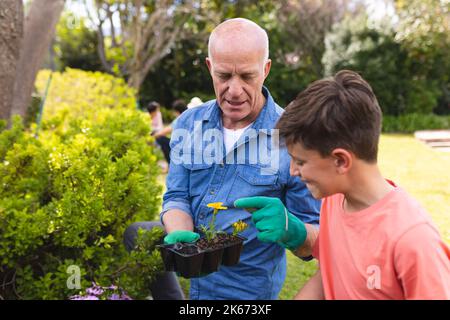 Kaukasischer Großvater und Enkel verbringen Zeit zusammen im Garten, Pflanzen Stockfoto