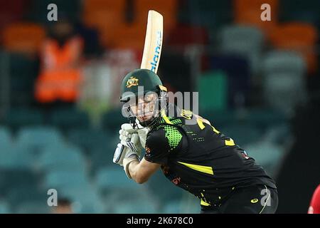 Pat Cummins aus Australien beim Spiel Dettol T20I Series 2 von 3 zwischen Australien und England im Manuka Oval, Canberra, Australien. 12. Oktober 2022. (Foto von Patrick Hoelscher/News Images) in Canberra, Australien am 8/13/2022. (Foto von Patrick Hoelscher/News Images/Sipa USA) Quelle: SIPA USA/Alamy Live News Stockfoto