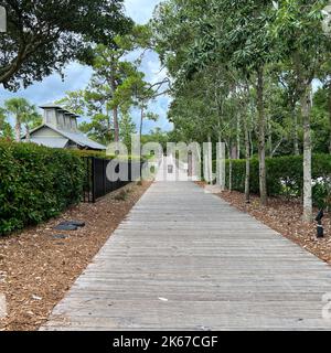 Watercolor, FL USA - 25. Juli 2022: Der hölzerne Wander- und Radweg in Watercolor, Florida. Stockfoto