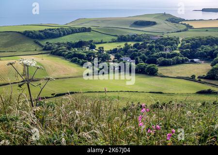 Blick von Swyre Head der höchste Punkt der Isle of Purbeck mit Blick auf die Kimmeridge Bay in Dorset, England, Großbritannien Stockfoto