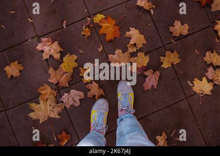 Herbstspaziergang in einer Stadt in Sneakers Stockfoto