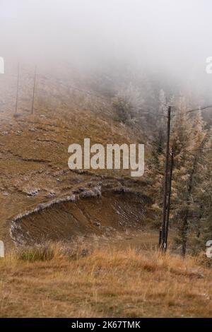 Ein schöner Blick auf einen geheimnisvollen Wald an einem nebligen Wintertag Stockfoto