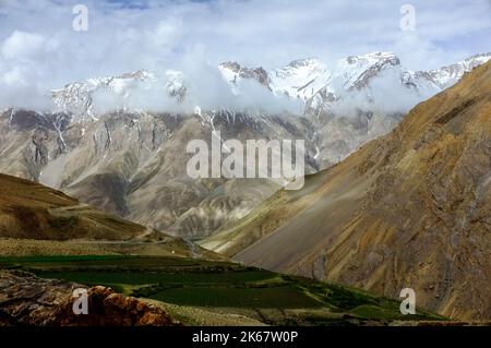 Kibber, Spiti Valley, Himachal Pradesh, Indien: Blick auf das Spiti Valley mit Gerstenfeldern und schneebedeckten Himalaya-Gipfeln im Hintergrund. Stockfoto