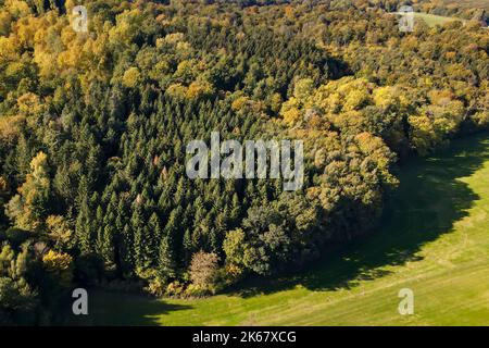 Die Sonne scheint auf Bäumen, deren Blätter im Herbst ihre Farbe geändert haben Stockfoto