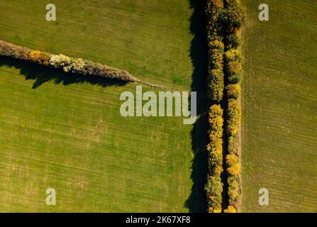 Die Sonne scheint im Herbst auf einer Landschaft Stockfoto