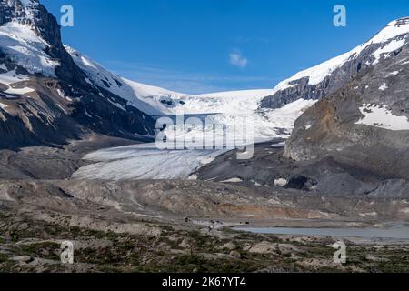 Athabasca-Gletscher auf dem Columbia Icefield in Alberta, Kanada - Canadian Rockies Stockfoto