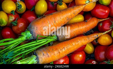Tomaten, Karotten auf dem Tisch Karotten, Tomaten gerade im Garten auf Holzbrettern gepflückt. Karotten und Tomaten. Stockfoto