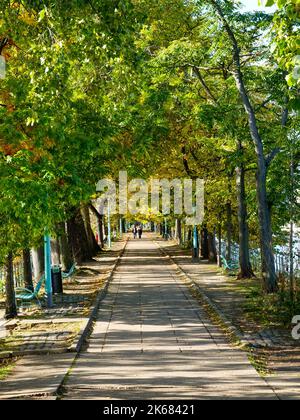 Île aux Cygnes, eine kleine künstliche Insel an der seine in Paris, Frankreich, im 15.. Arrondissement, mit herbstlichen Farben. Stockfoto