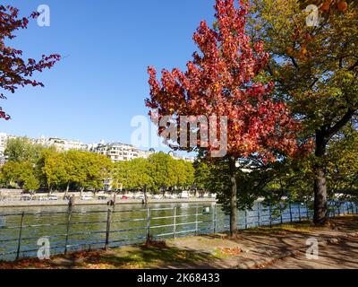 Île aux Cygnes, eine kleine künstliche Insel an der seine in Paris, Frankreich, im 15.. Arrondissement, mit herbstlichen Farben. Stockfoto