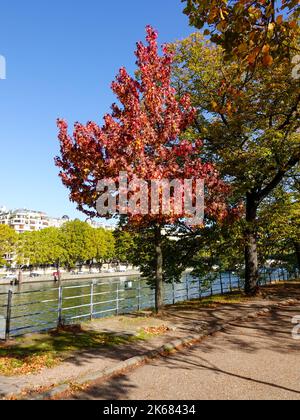 Île aux Cygnes, eine kleine künstliche Insel an der seine in Paris, Frankreich, im 15.. Arrondissement, mit herbstlichen Farben. Stockfoto