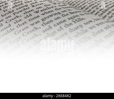 Eine verschwommene Leseseite Buch Licht Literatur Text gemütlich entspannend Lernen Wörter Hintergrund Seiten Hintergrund Kopie Raum Stockfoto