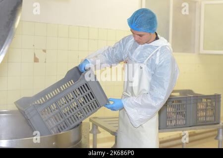 Controller, der in der Lebensmittelfabrik arbeitet Stockfoto