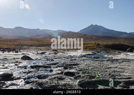 Atacama-Wüste, Dezember 2014. Fotograf: Ale Espaliat Stockfoto