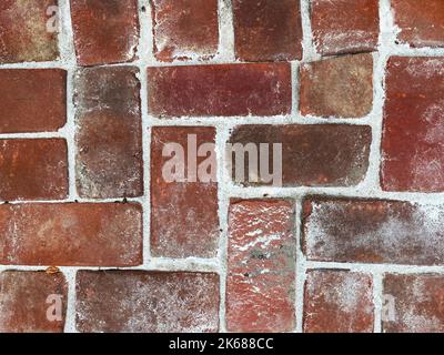 Ein gepflasterter Backstein Blöcke alten Pflaster vintage Retro Straße Weg Garten Gehweg über roten Ziegeln Pflasterblock Pflaster Bürgersteig Stockfoto
