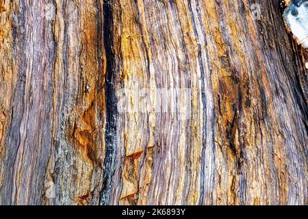 Farbverstärkung, detaillierte Ansicht der freigelegten und erodierten Klippe am Greencliff Beach Textur und Maserung in den Felsen: Greencliff Stockfoto