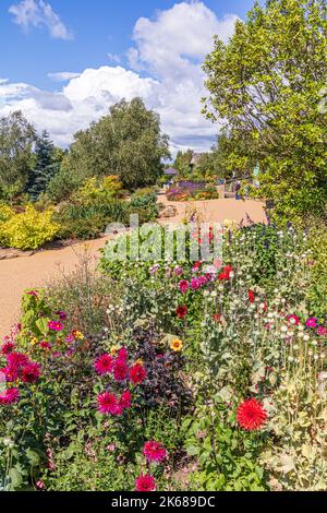 Gemischte Sommerblumen Grenzen im RHS Garden Harlow Carr in der Nähe von Harrogate, Yorkshire, Großbritannien Stockfoto