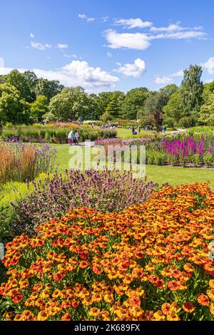 Gemischte Sommerblumen Grenzen im RHS Garden Harlow Carr in der Nähe von Harrogate, Yorkshire, Großbritannien Stockfoto