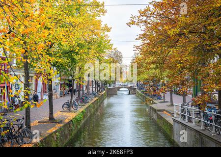 Kanal in der historischen Stadt Delft, Holland mit Bäumen in Herbstblättern. Stockfoto