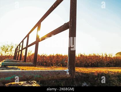 Brücke über einem bewässerungskanal der Lomellina bei Sonnenuntergang Stockfoto