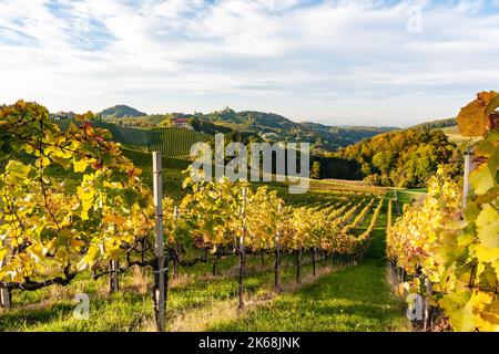 Wachau Weinberge in Österreich - Wachau Landschaft Stockfoto