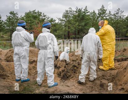 Lyman, Ukraine. 11. Oktober 2022. Ermittler, die Schutzkleidung tragen, werden gesehen, wie sie die Leichen ukrainischer Soldaten von einer Begräbnisstätte in Lyman exhumieren. Mindestens 32 ukrainische Soldatenleichen wurden aus einem Massengrab in Lyman, einer Stadt im Donezker Gebiet, die unter russischer Besatzung stand, exhumiert. Die Behörden sagten, dass sie zusammen begraben wurden und erste Untersuchungen zeigten, dass einige Leichen mit verbundenen Augen und an den Händen gebunden waren, was Anzeichen von Folter und Hinrichtung nahelegt. Weitere 22 Zivilisten, darunter auch Kinder, wurden von einer anderen Begräbnisstätte in der Nähe exhumiert. Beide Standorte liegen am Rande eines ceme Stockfoto