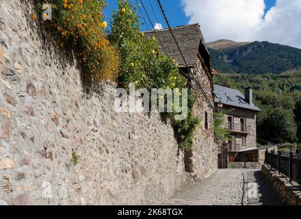 Eine traditionelle Steinmauer mit orangefarbenen und gelben Blüten bedeckt, Pyrenäen Berge, Spanien Stockfoto