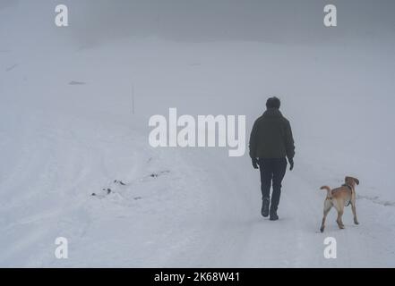 Ein Mann und ein Hund von hinten, der während des nebligen Wetters und der Wintersaison im Schnee herumläuft Stockfoto
