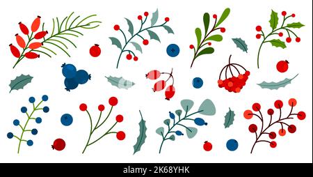 Winter Herbst Beere Pflanze Blatt Zweig Sprossen Frucht bunt flach gesetzt. Holly Wildrose viburnum Heidelbeere Sanddorn Preiselbeere Preiselbeere. Blumenelement festlich Dekor Karte Aufkleberdruck isoliert Stock Vektor