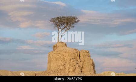 Wunderschöne Kalksteinformationen am Umm Bab, Katar. Stockfoto